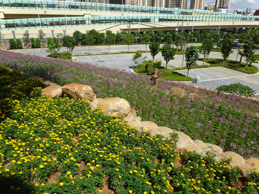 DSC09418_副本.jpg