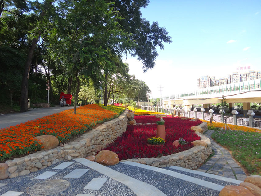 DSC09437_副本.jpg