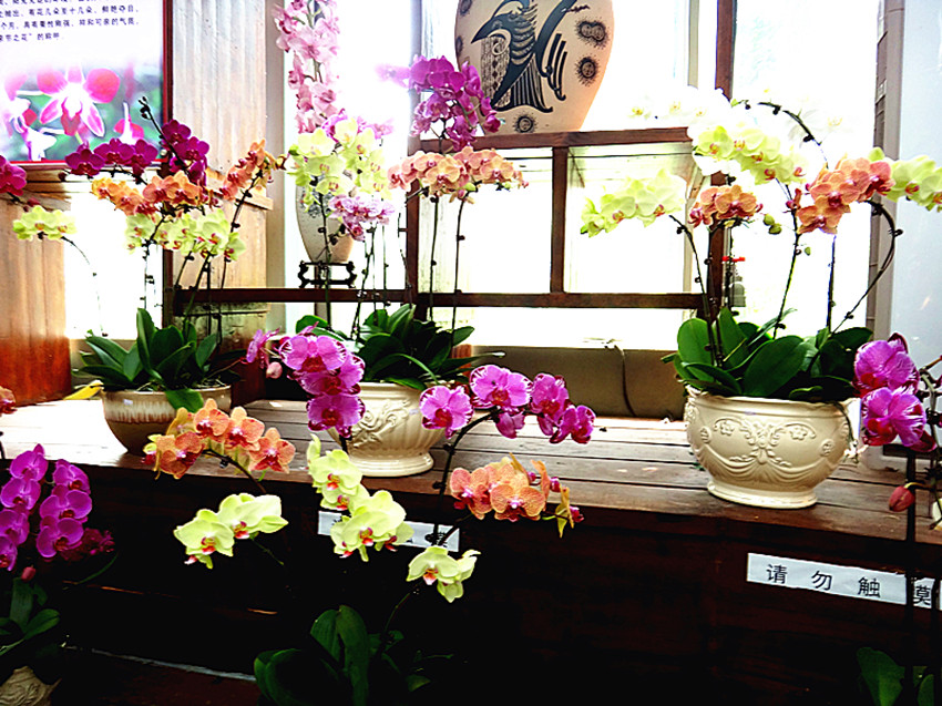 DSC00197_副本.jpg