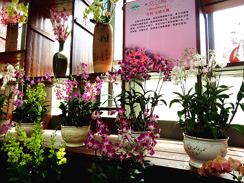 DSC00199_副本.jpg