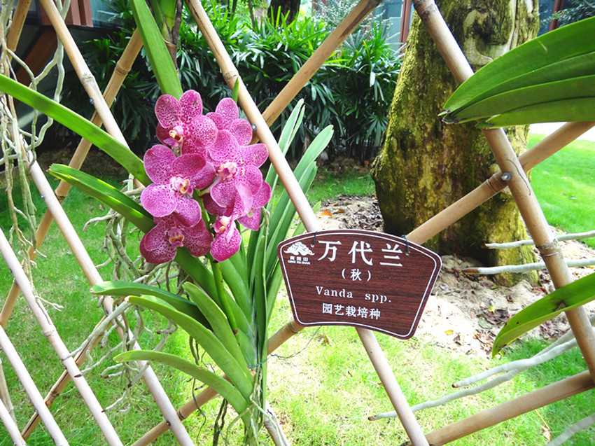DSC00215_副本.jpg