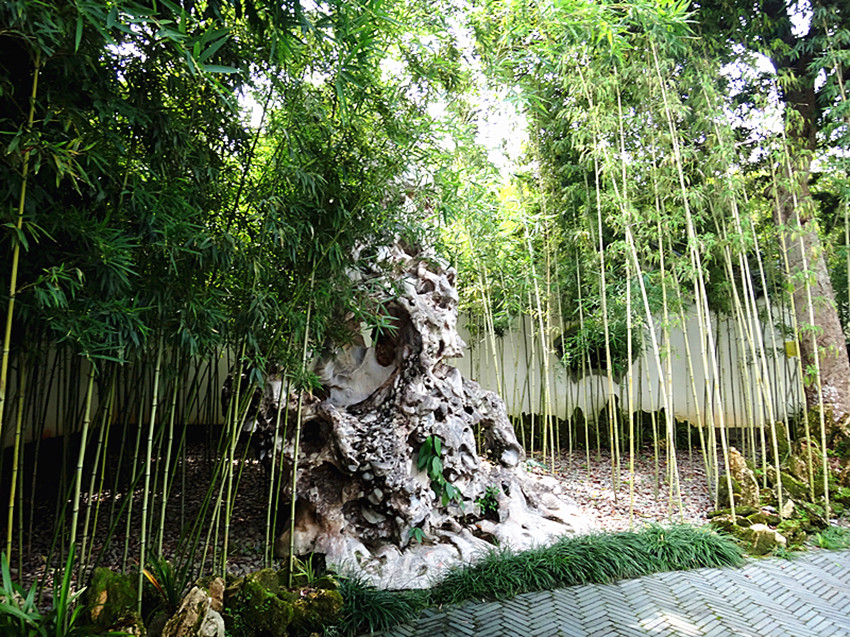 DSC00269_副本.jpg