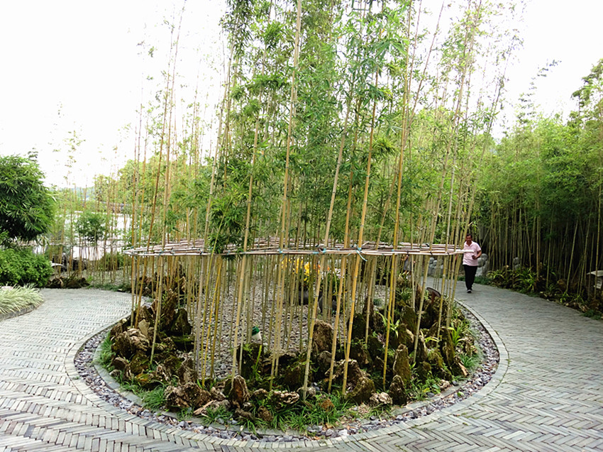 DSC00281_副本.jpg
