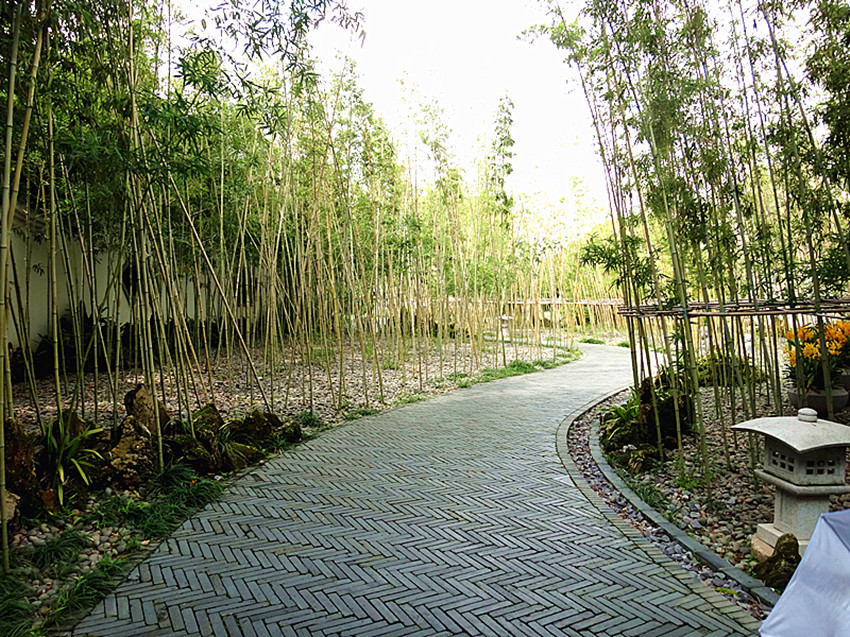 DSC00270_副本.jpg