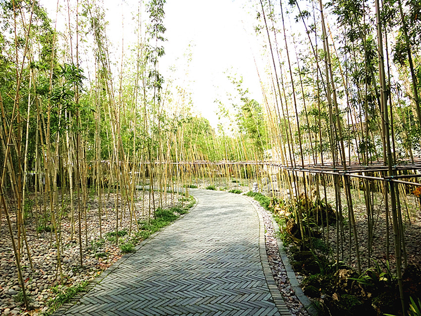 DSC00271_副本.jpg