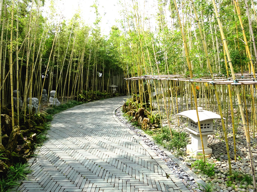 DSC00274_副本.jpg