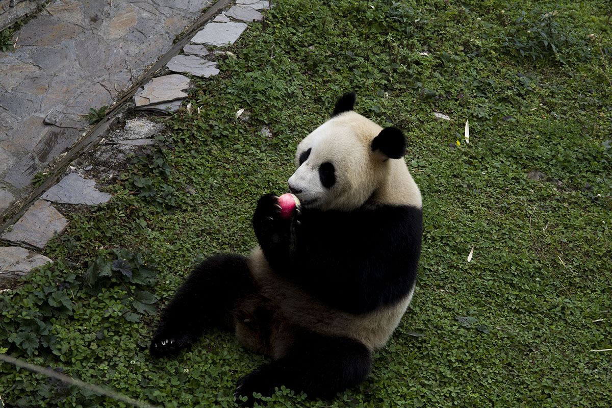 IMG_5572副本.jpg