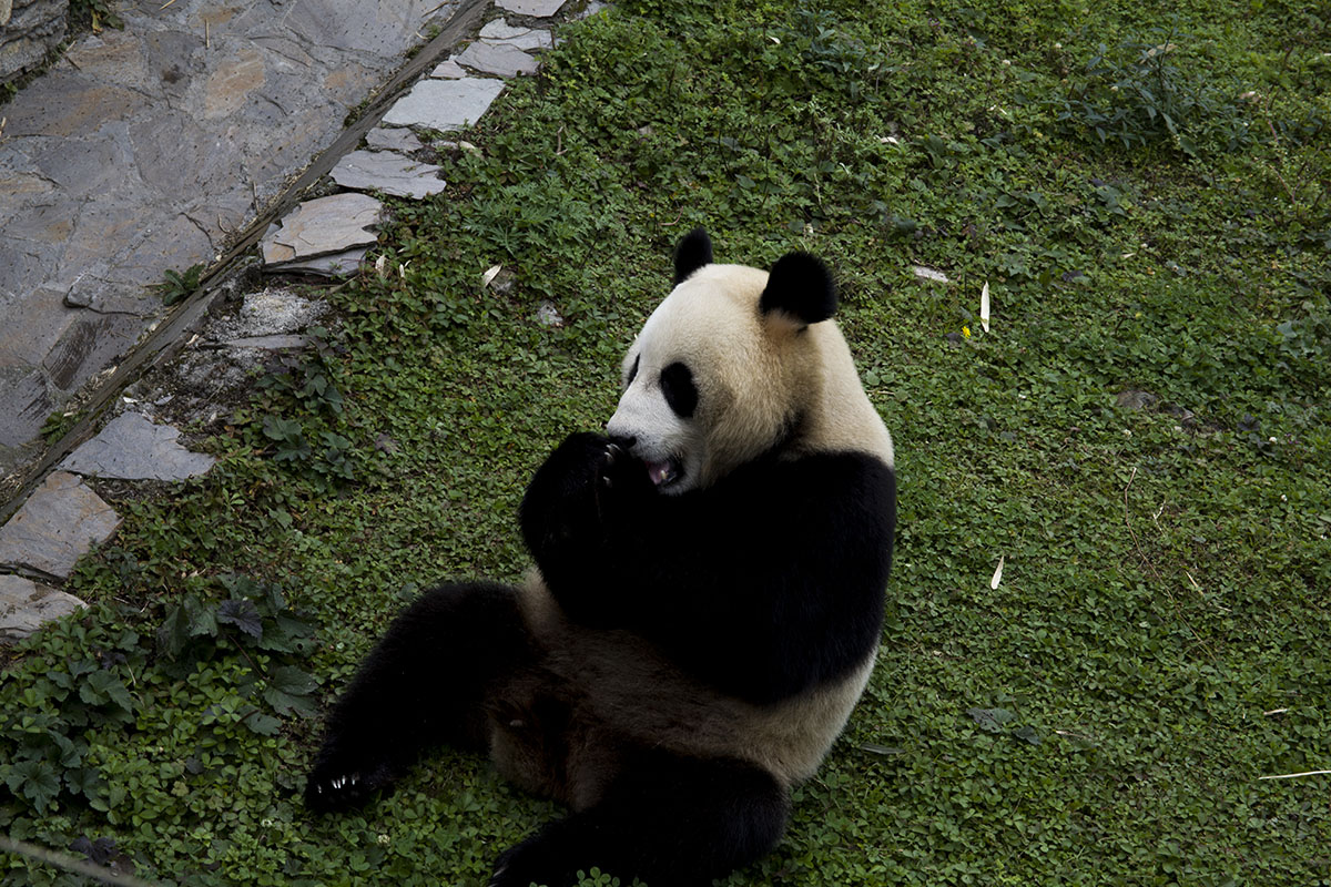 IMG_5571副本.jpg