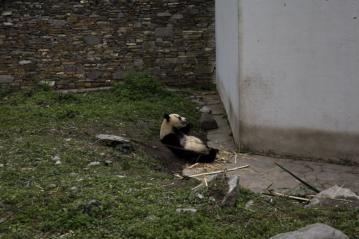 IMG_5607副本.jpg
