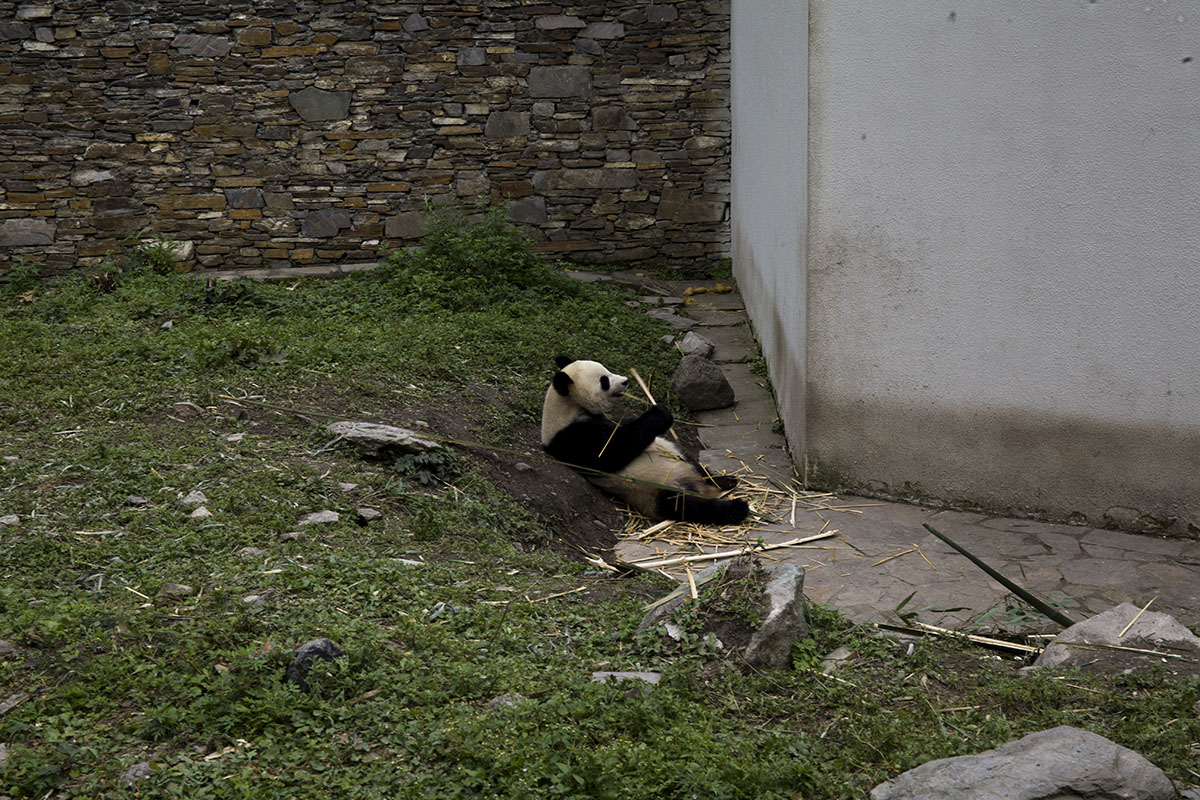 IMG_5611副本.jpg