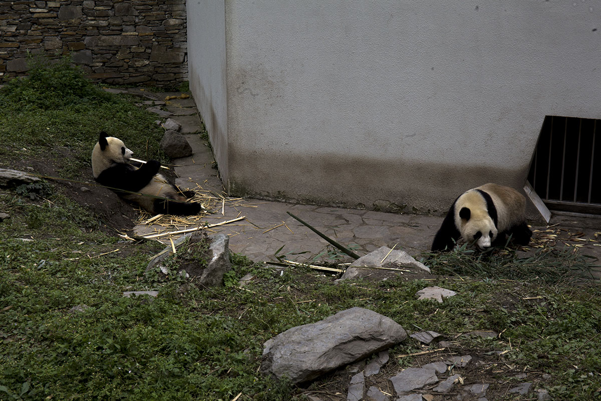 IMG_5610副本.jpg