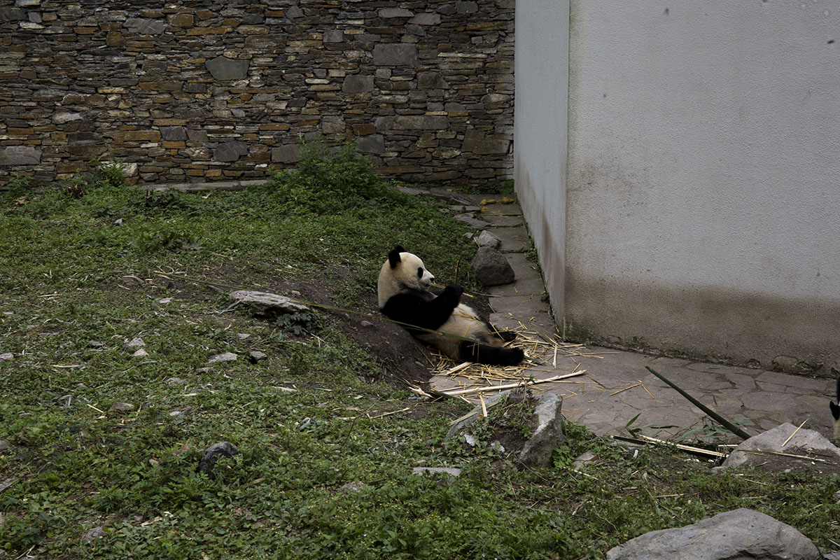 IMG_5612副本.jpg