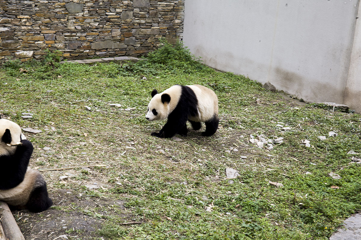 IMG_5626副本.jpg