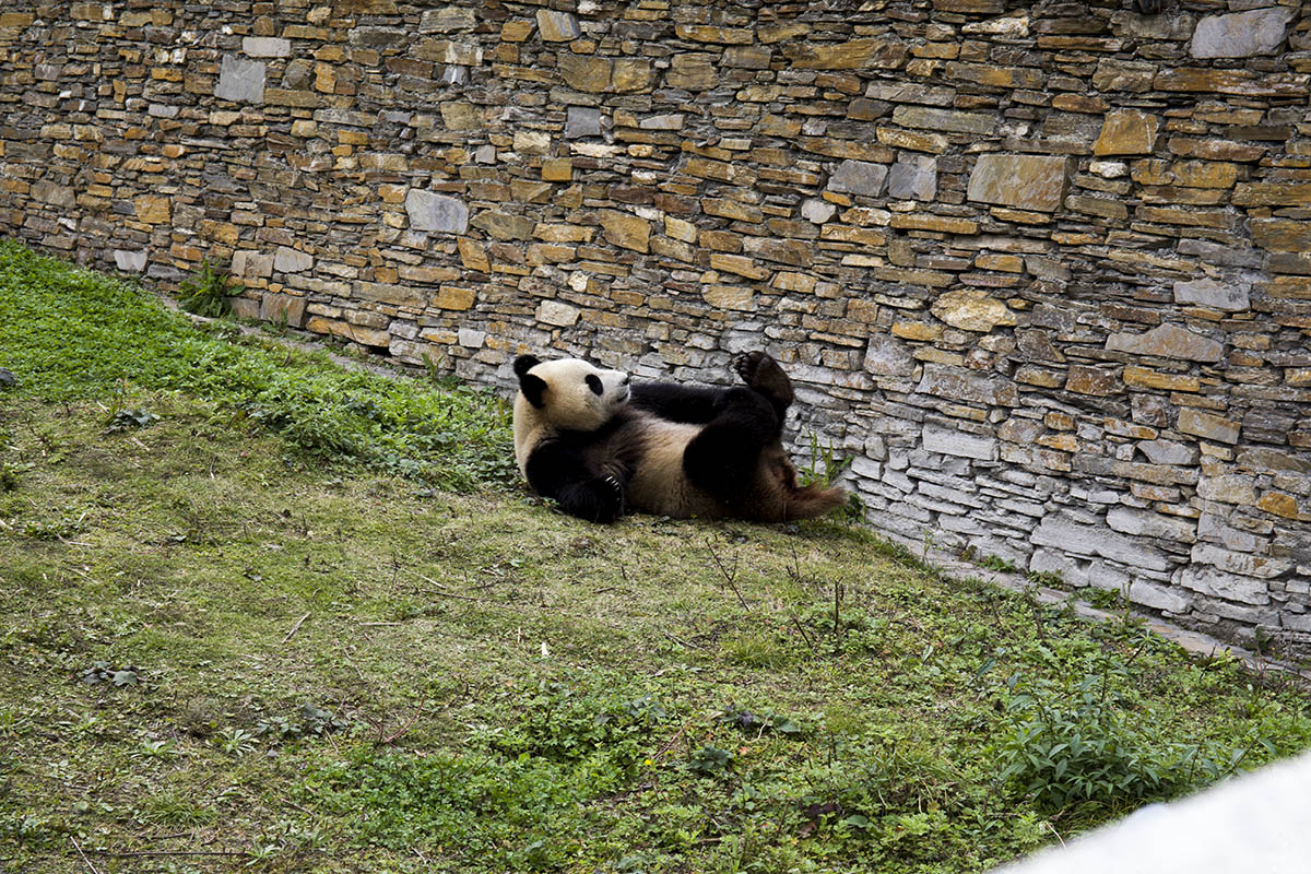 IMG_5656副本.jpg