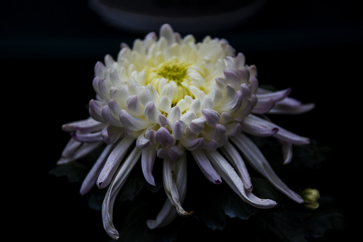 IMG_6113副本.jpg