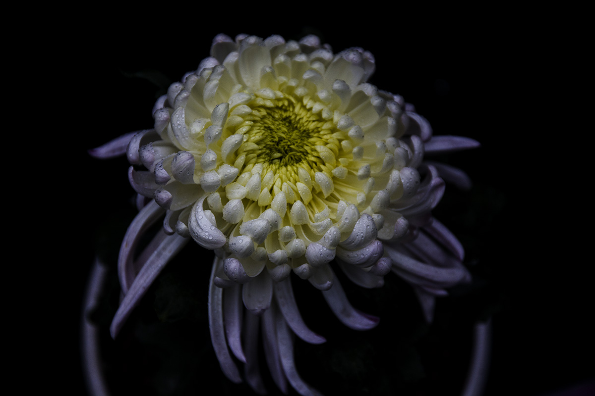 IMG_6114副本.jpg