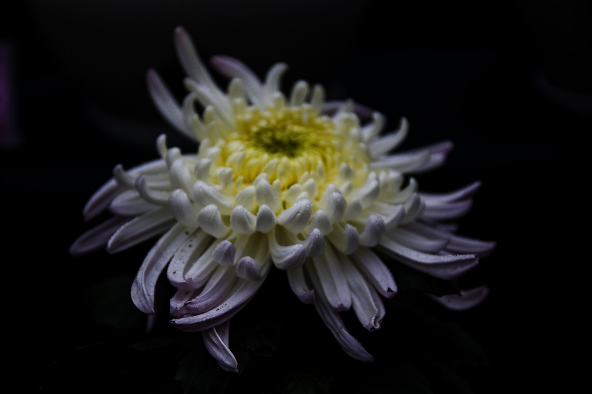 IMG_6116副本.jpg