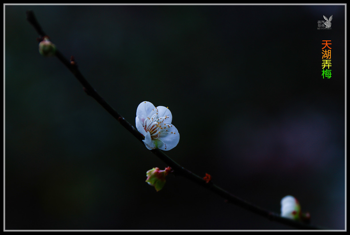 IMG_5412_副本.jpg