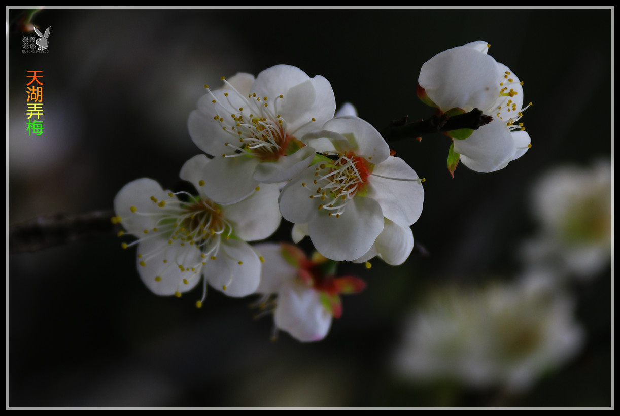 IMG_5605_副本.jpg