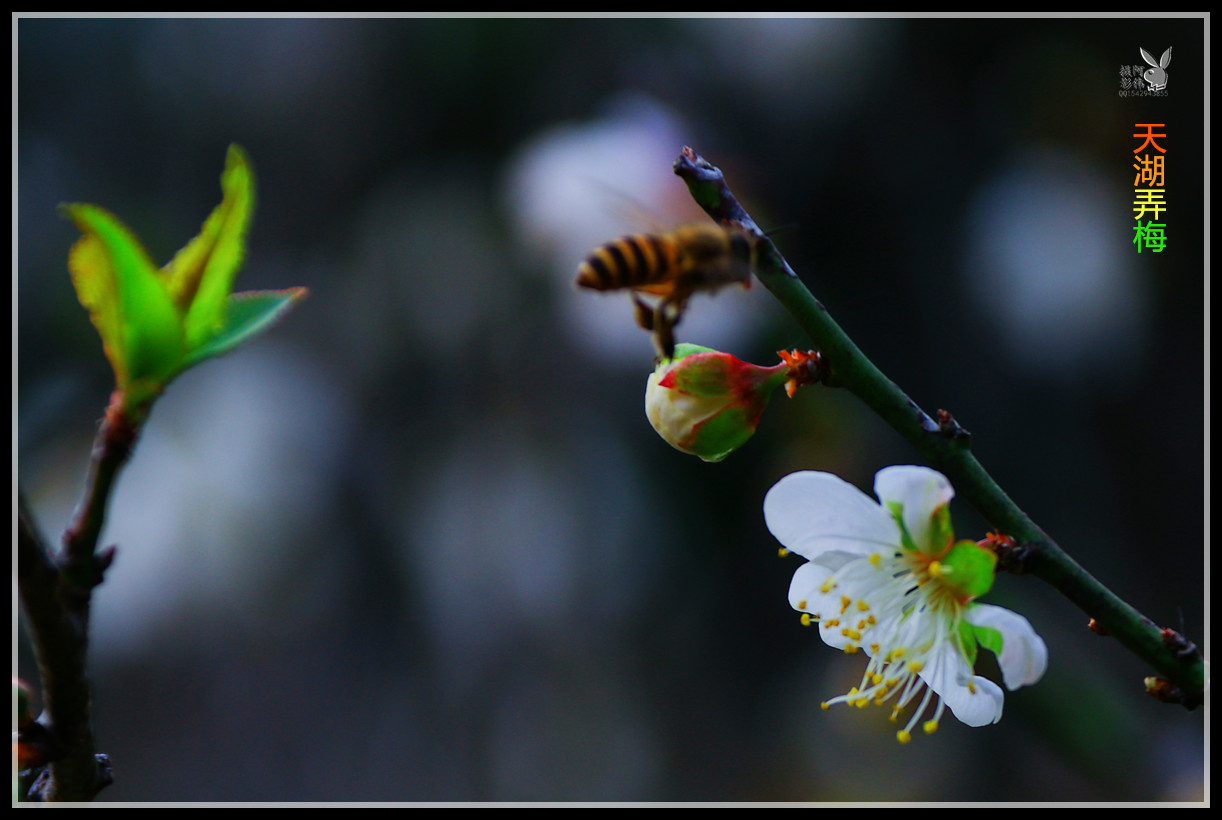 IMG_5613_副本.jpg