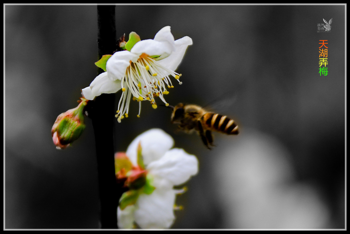 IMG_5880_副本.jpg