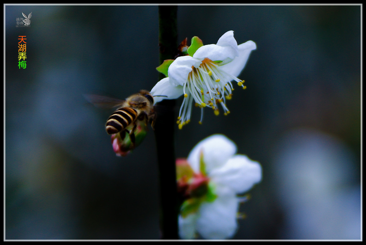 IMG_5875_副本.jpg