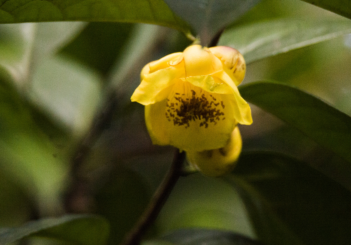 IMG_6589副本.jpg