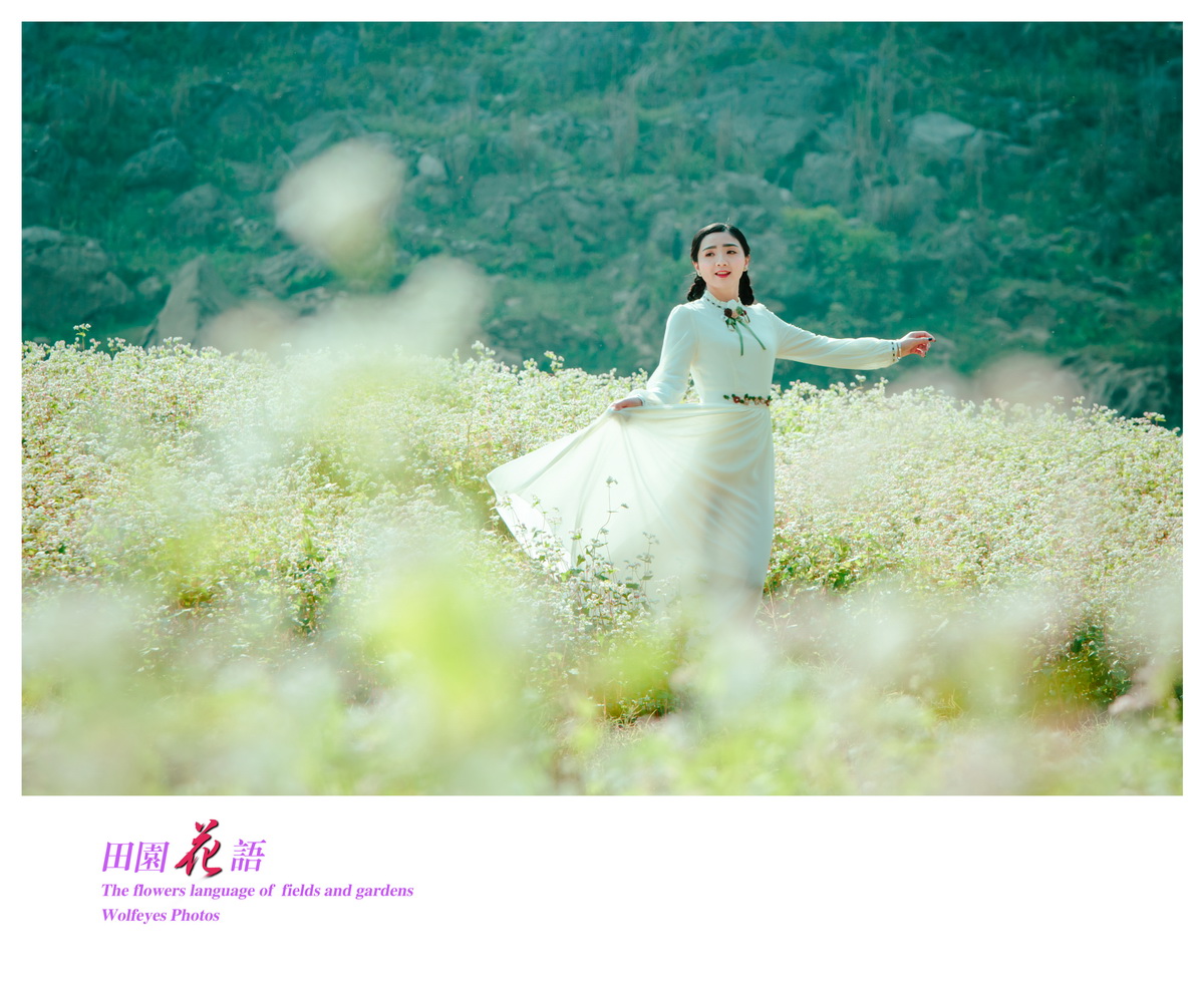 花语 (1).jpg