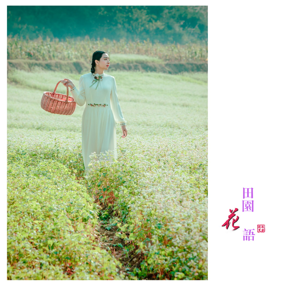 花语 (6).jpg