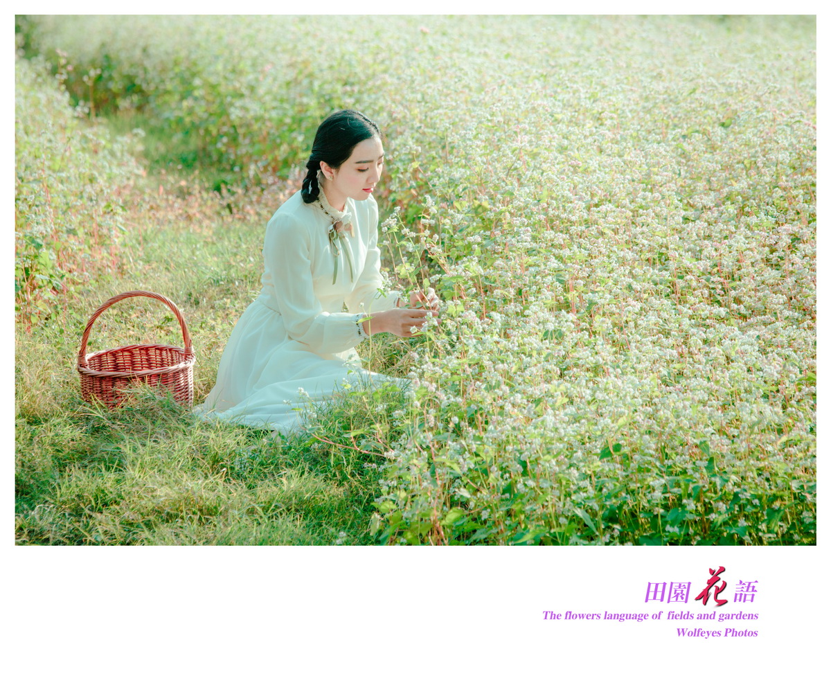 花语 (11).jpg
