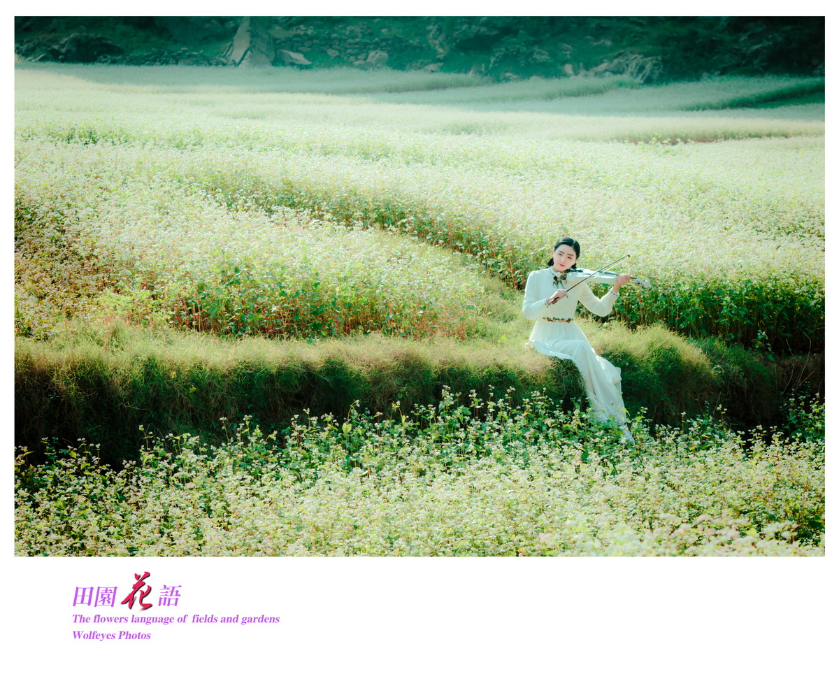 花语 (13).jpg