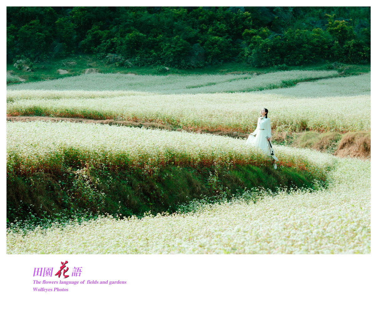 花语 (14).jpg