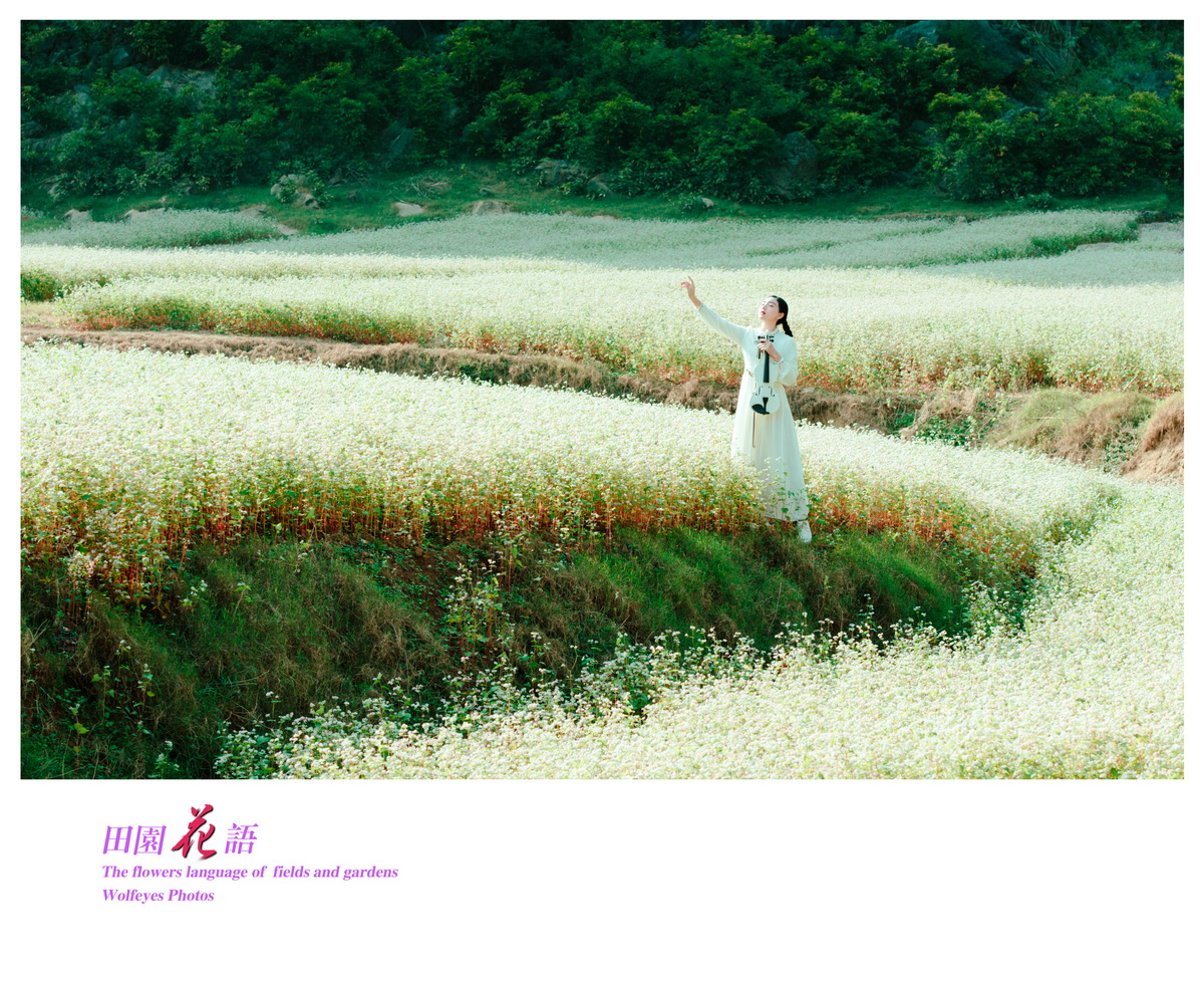花语 (15).jpg