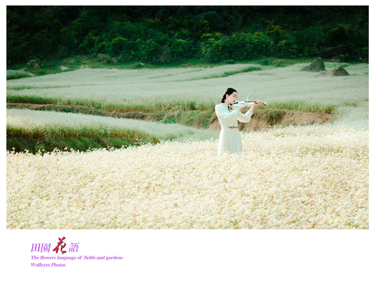 花语 (17).jpg