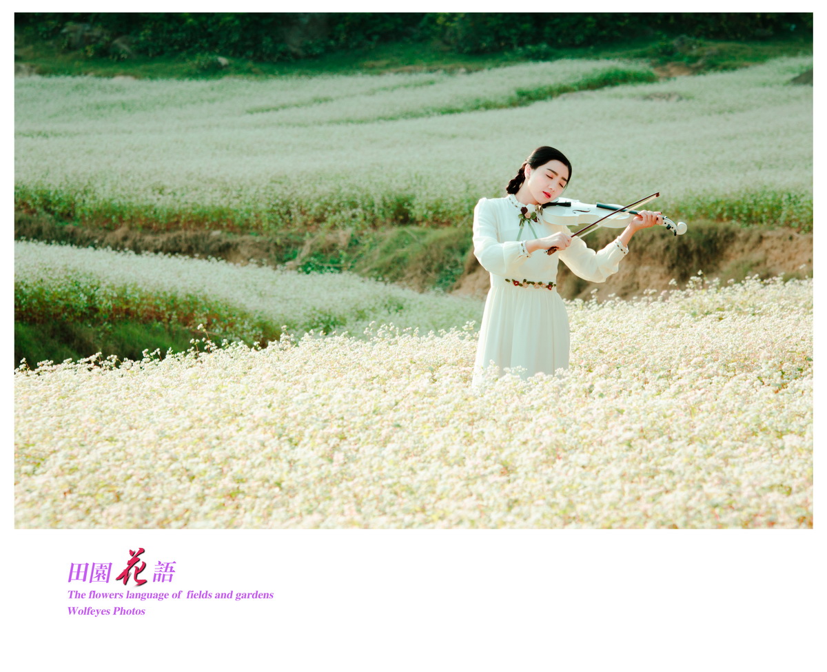 花语 (18).jpg
