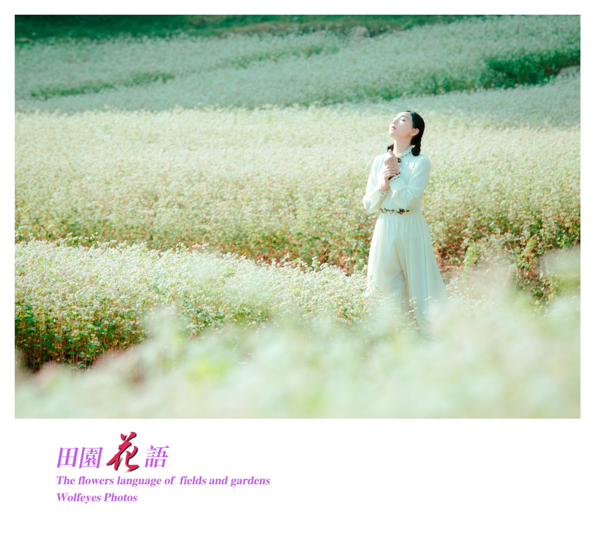 花语 (16).jpg
