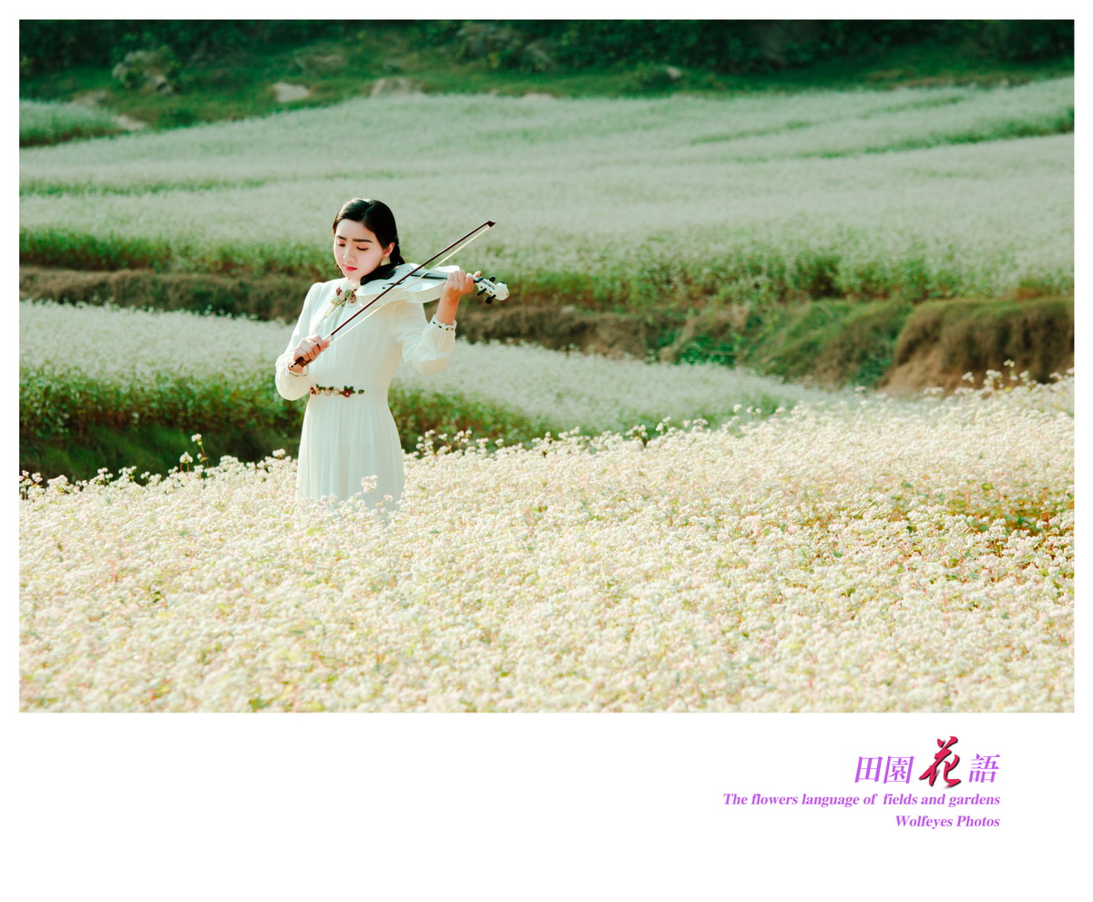 花语 (19).jpg