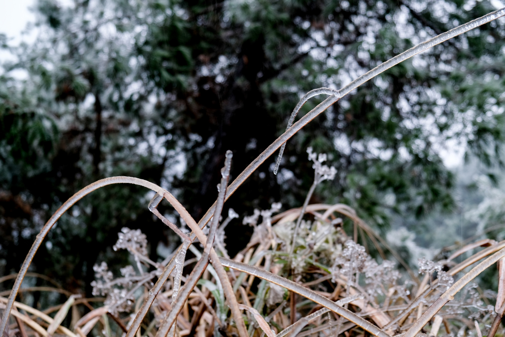 DSCF4641.jpg