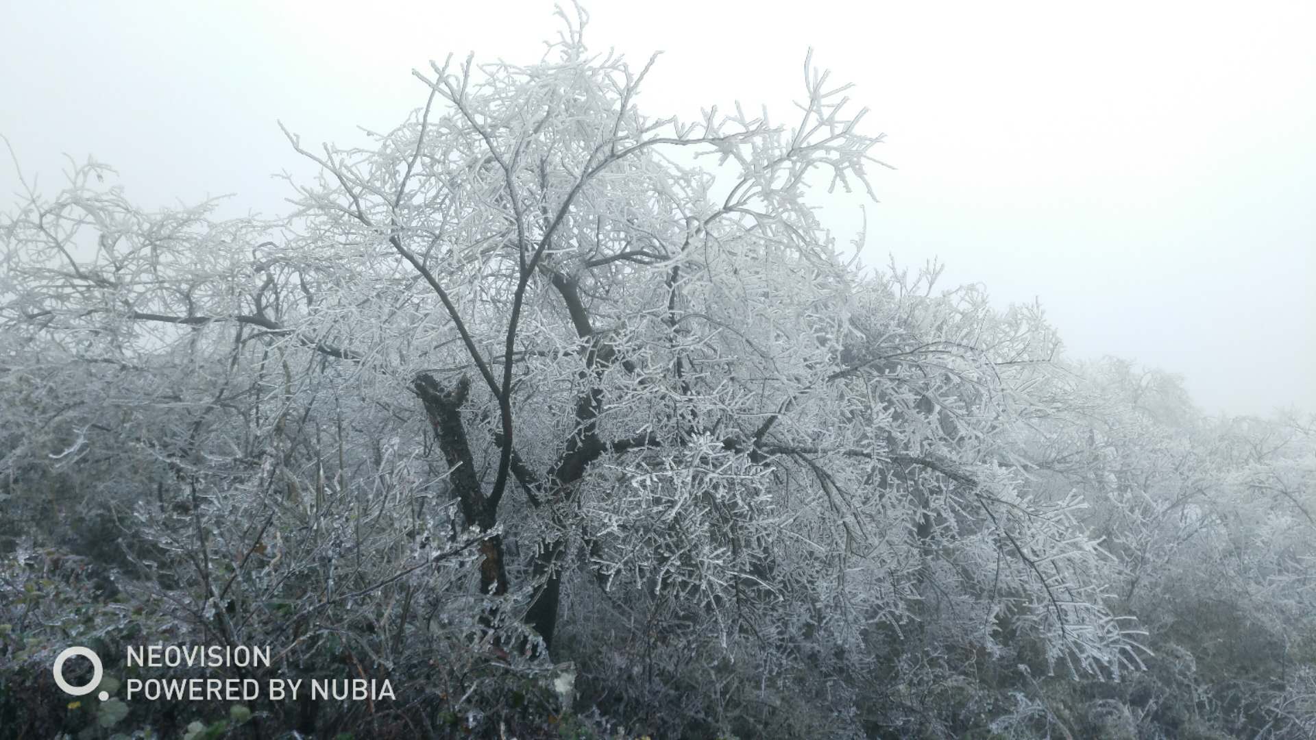 06.jpg