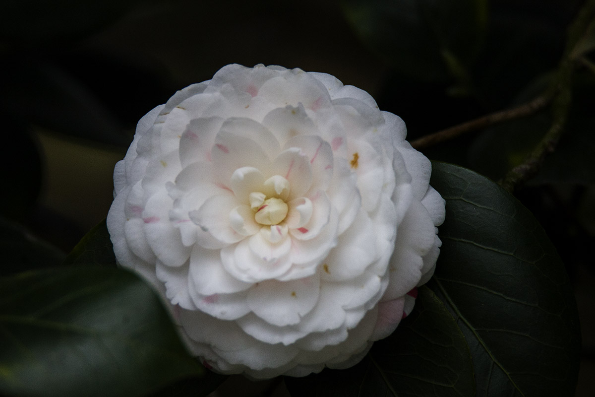 IMG_7049副本.jpg