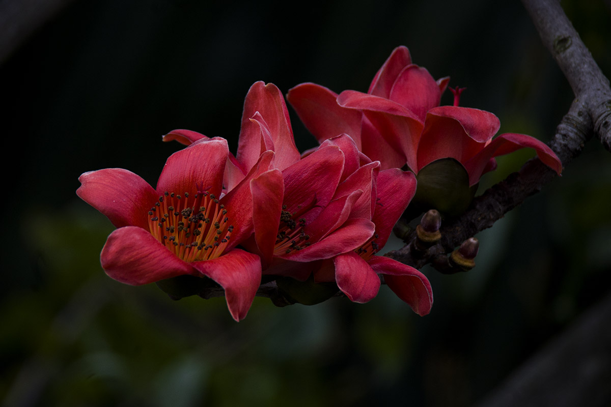 IMG_7502副本.jpg