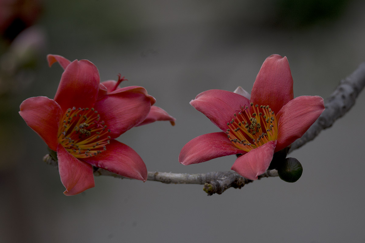 IMG_7514副本.jpg