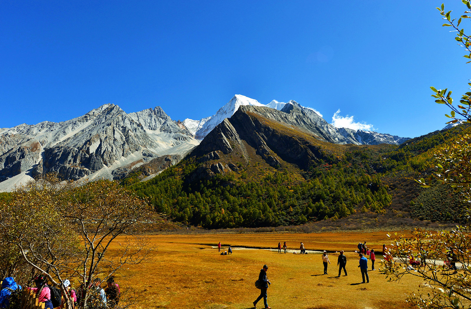 DSC_0448_副本.jpg