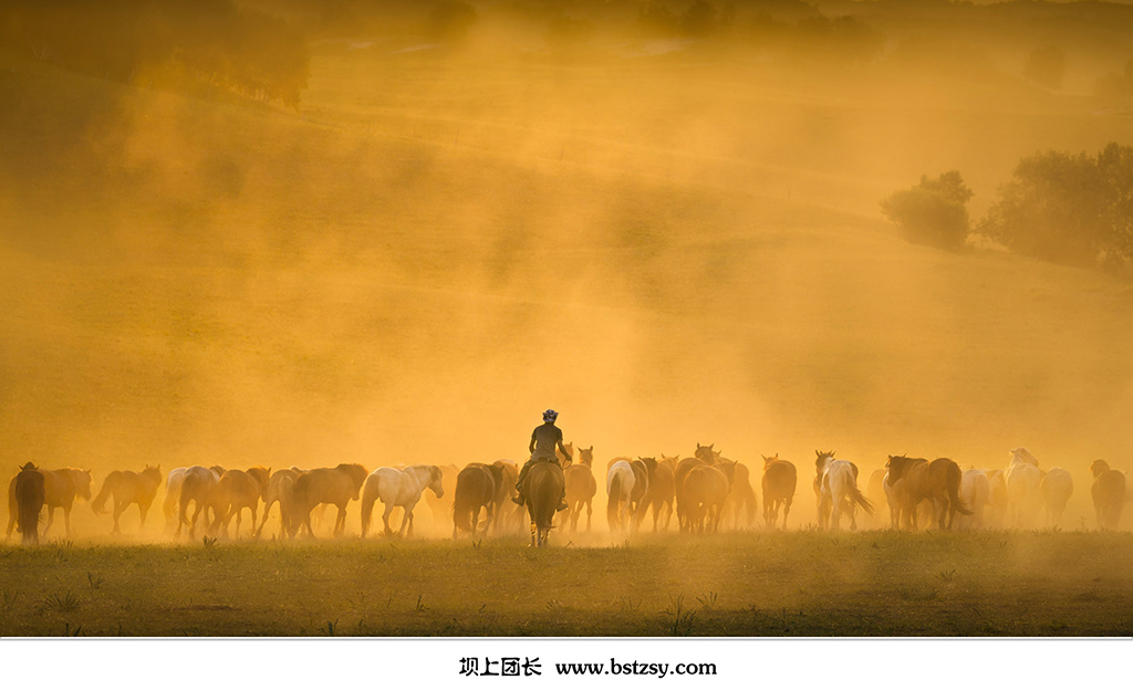 _T2Y8986-1.jpg