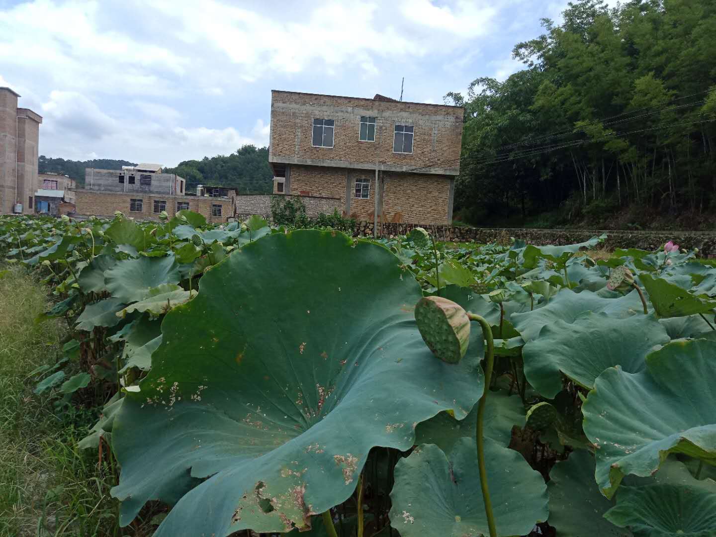 微信图片_20180802212419.jpg