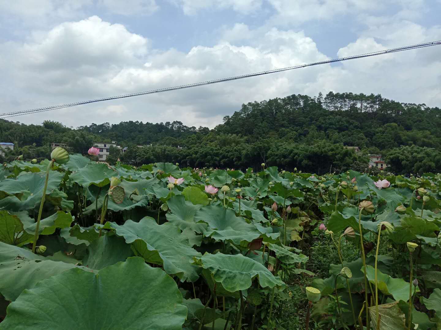 微信图片_20180802212552.jpg