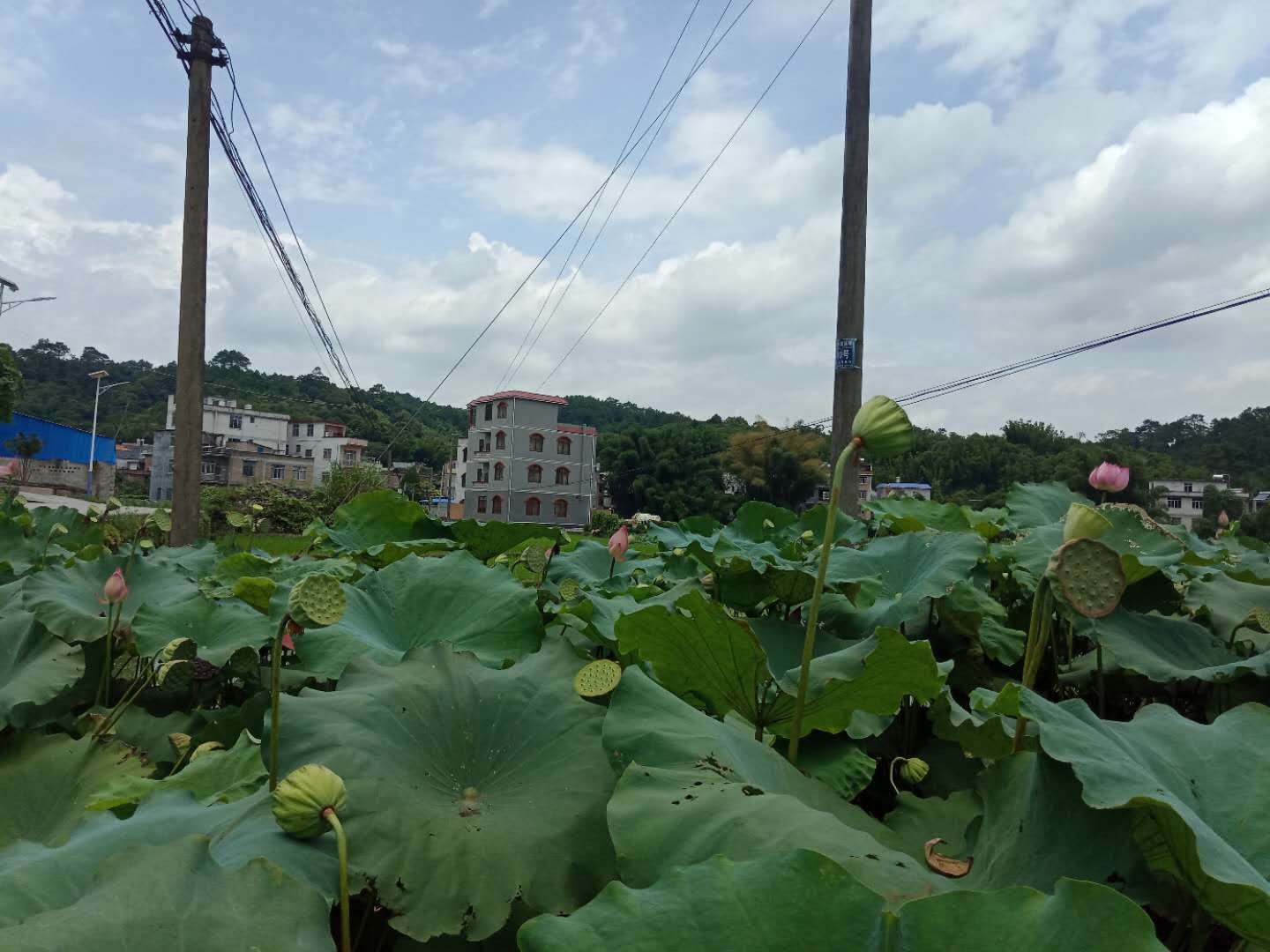 微信图片_20180802212616.jpg