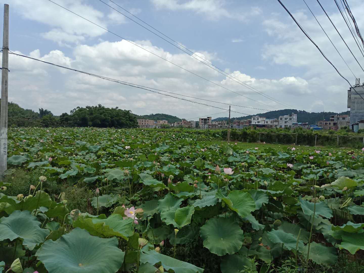 微信图片_20180802212628.jpg