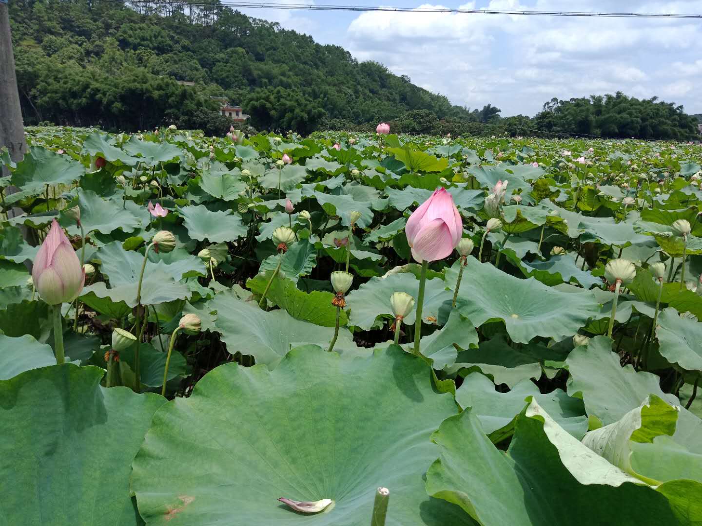 微信图片_20180802212648.jpg