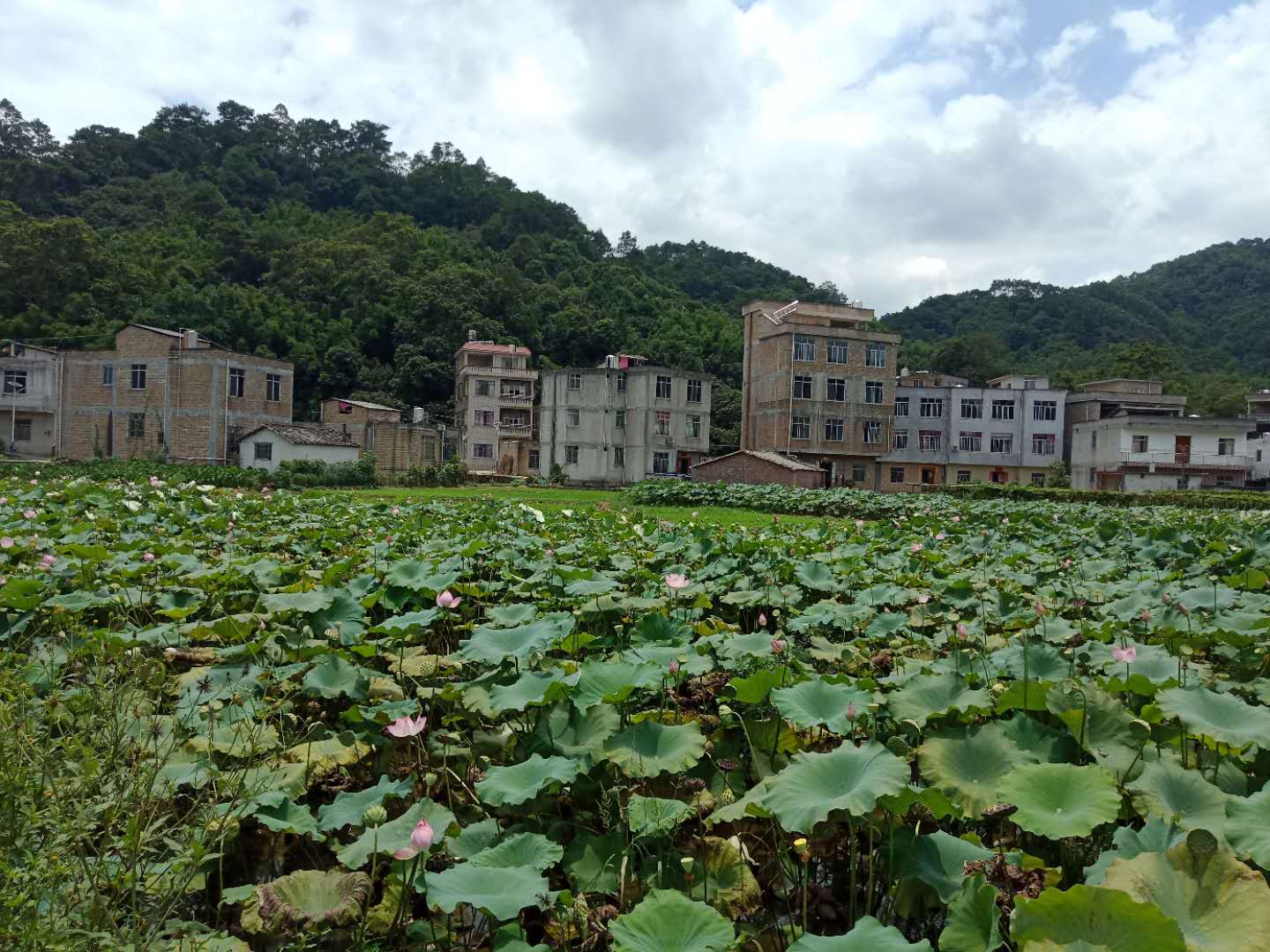 微信图片_20180802212703.jpg